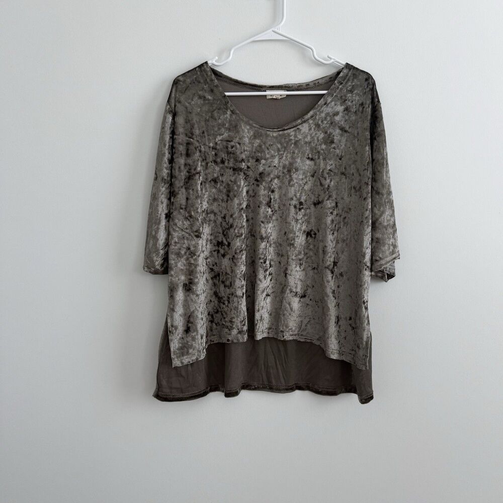 POL Short Sleeve Brown Crushed Velvet Top Blouse Sz Large Slinky Whimsigoth